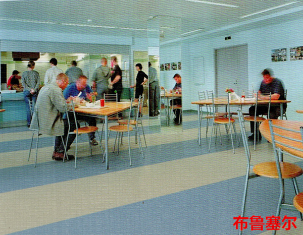 布鲁塞尔同质透心地板